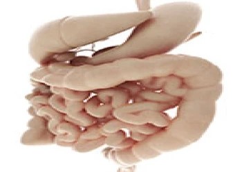 Bệnh viêm ruột ở trẻ và những điều bạn nên biết