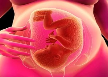Nhau thai có thể cải thiện vấn đề xương khớp ở người già