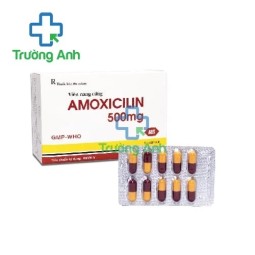 Amoxicilin 500mg Mebiphar