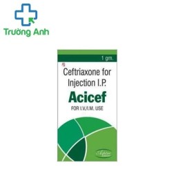Acicef 100mg - Thuốc kháng sinh điều trị nhiễm trùng hiệu quả của Ấn Độ