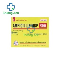 Ampicillin 500mg Mekophar - Thuốc kháng sinh hiệu quả