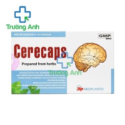 Hoạt huyết dưỡng não Cerecaps