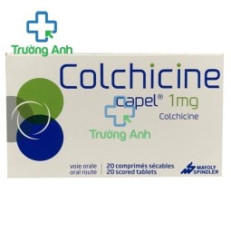 Colchicine Capel 1mg Zentiva - Thuốc điều trị bệnh gout hiệu quả