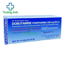 Dobutamin 250mg/20ml Panpharma - Thuốc trợ giúp suy tim hiệu quả