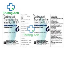 Endoprost 250mcg - Thuốc phòng ngừa băng huyết hiệu quả của Ấn Độ