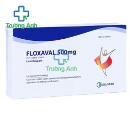 Floxaval 500mg - Thuốc điều trị nhiễm khuẩn hiệu quả