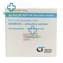 Gerolin 1g/4ml Injectable solution - Thuốc trị tai biến mạch máu não