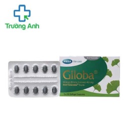 Giloba - Giúp cải thiện tuần hoàn não hiệu quả của Thái Lan
