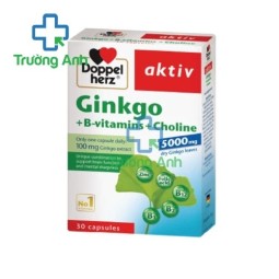 Ginkgo + B-vitamins + Choline Queisser - Giúp tăng cường trí nhớ