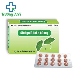 Ginkgo Biloba 80mg VCP - Giúp điều trị thiểu năng tuần hoàn não hiệu quả