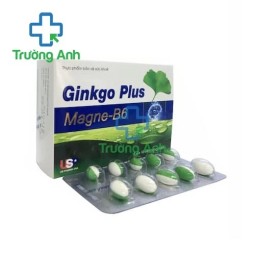 GINKGO PLUS MAGNE -B6 USP - Hỗ trợ tăng cường tuần hoàn máu não