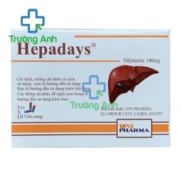 Thuốc Hepadays 140mg bổ gan giải độc gan của Unipharma