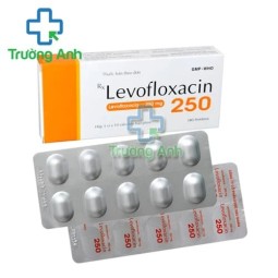 Levofloxacin 250mg DHG - Thuốc điều trị nhiễm trùng hiệu quả