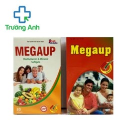 Megaup Hatapharm - Hỗ trợ bổ sung vitamin và khoáng chất hiệu quả (10 hộp)
