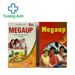 Megaup Hatapharm - Hỗ trợ bổ sung vitamin và khoáng chất hiệu quả (10 hộp)