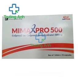 Cttzil 500 Eloge France - Thuốc điều trị nhiễm khuẩn hiệu quả