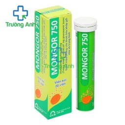 Mongor 750 SPM - Thuốc điều trị chống viêm giảm đau hiệu quả