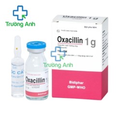 Oxacillin 1g Bidiphar - Thuốc điều trị nhiễm khuẩn hiệu quả