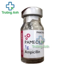 Pamecillin 1g - Thuốc điều trị nhiễm khuẩn hiệu quả
