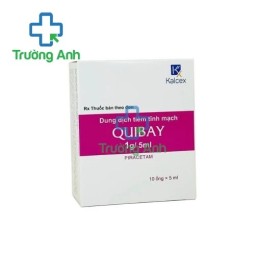 Quibay 1g - Thuốc tiêm