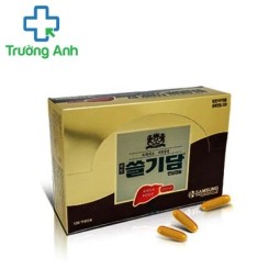 Sulgidam - Thuốc điều trị các bệnh lý ở gan hiệu quả