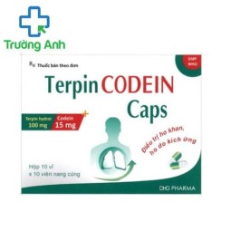 Terpin codein caps DHG - Thuốc điều trị ho khan hiệu quả