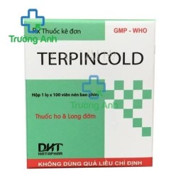 Terpincold (vỉ) DHT - Thuốc điều trị ho khan
