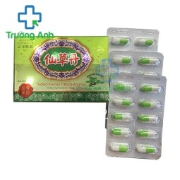 Thống Phong Tiên Thảo Đơn - Hỗ trợ điều trị xương khớp hiệu quả