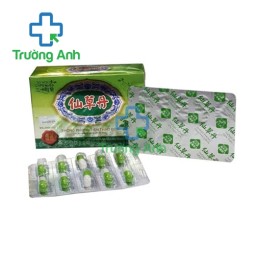 Thống Phong Tiên Thảo Đơn - Hỗ trợ điều trị xương khớp hiệu quả