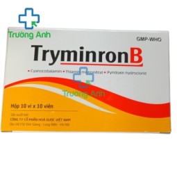 TryminronB - Phòng chống và điều trị do thiếu Vitamin B1, B6, B12