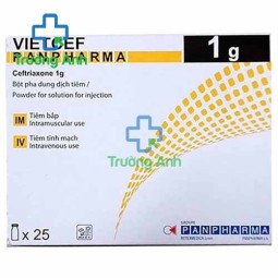 Vietcef - Thuốc điều trị nhiễm khuẩn hiệu quả của Pháp