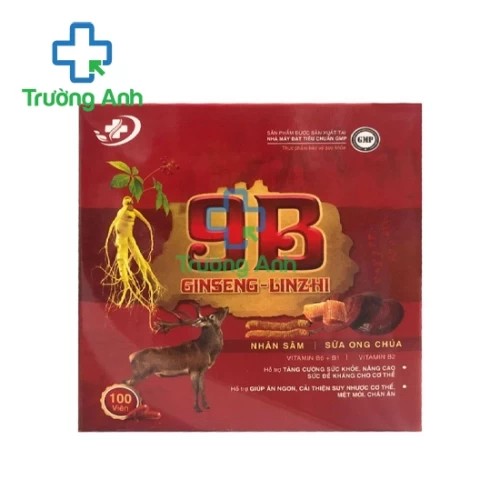 9B Ginseng Linhzhi Vinaphar - Hỗ trợ tăng cường đề kháng cho cơ thể