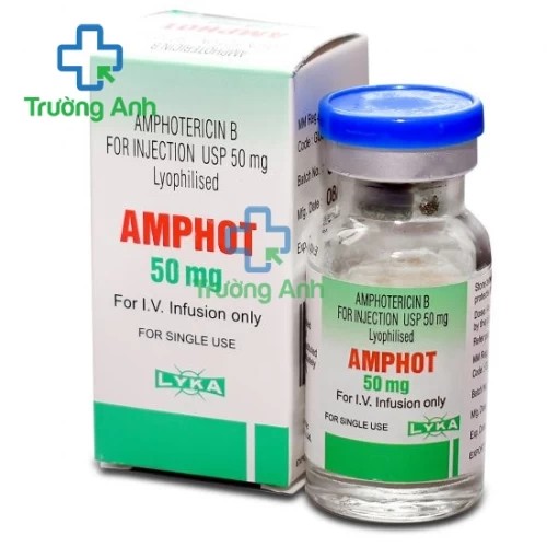 Amphot 50mg Lyka - Thuốc điều trị nhiễm khuẩn hiệu quả