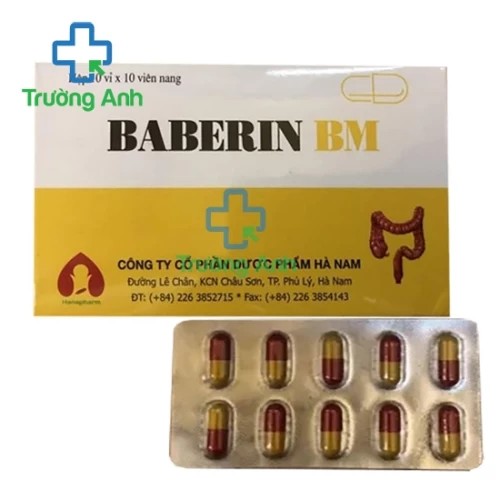 Baberin BM - Hỗ trợ điều trị viêm ruột, lỵ hiệu quả của Hà Nam