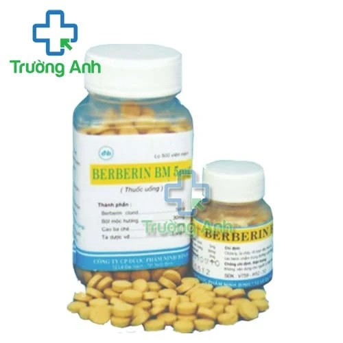 Berberin BM 5mg Ninh Bình - Thuốc điều trị các bệnh lý đường tiêu hóa (10 lọ)