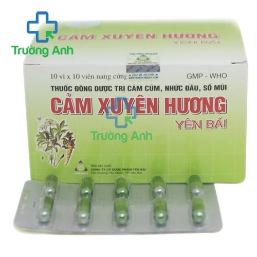 Cảm xuyên hương Yên Bái (viên) - Giúp điều trị cảm cúm hiệu quả