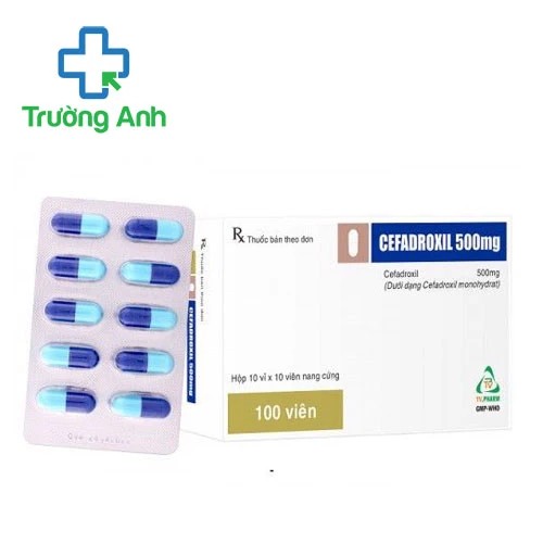 Cefadroxil 500mg TV.Pharm - Thuốc điều trị nhiễm khuẩn hiệu quả
