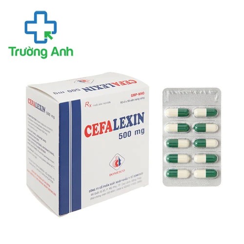 Cefalexin 500mg Domesco - Thuốc điều trị nhiễm khuẩn hiệu quả