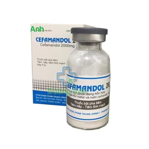 Cefamandol 2g Pharbaco - Thuốc điều trị nhiễm khuẩn