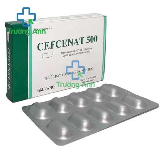 Cefcenat 500 Tipharco - Thuốc điều trị nhiễm khuẩn hiệu quả