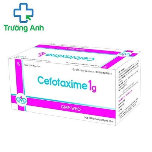 Cefotaxime 1g MD Pharco - Thuốc điều trị nhiễm khuẩn nặng hiệu quả