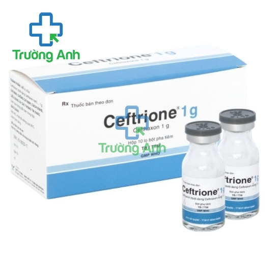 Ceftrione 1g Bidiphar - Thuốc điều trị nhiễm khuẩn hiệu quả