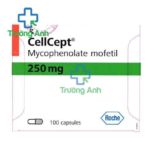 Cellcept 250mg - Thuốc dự phòng thải ghép cho bệnh nhân ghép thận hiệu quả