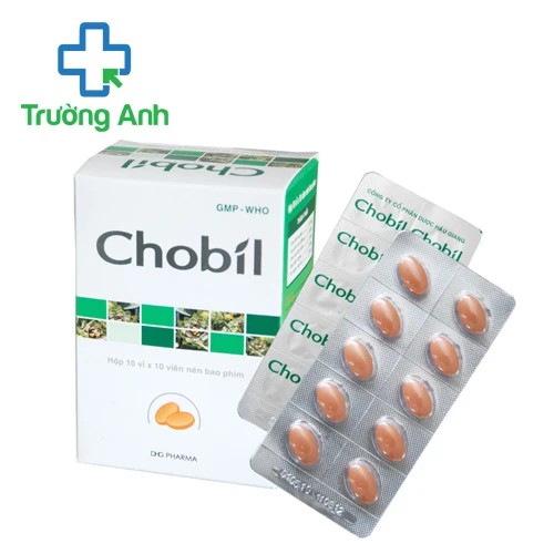 Chobil DHG PHARMA - Giúp thanh nhiệt, giải độc gan hiệu quả