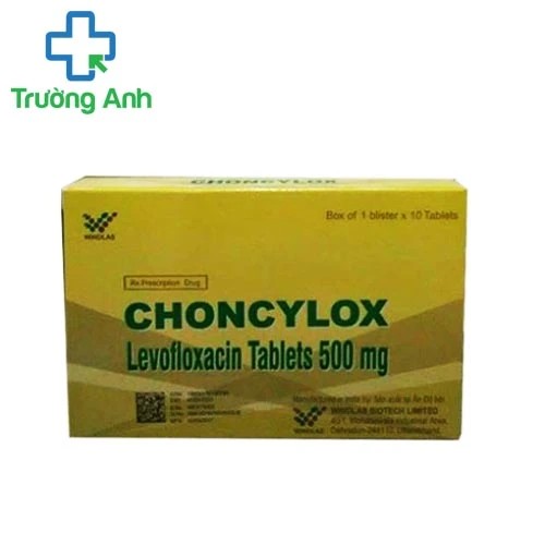 Choncylox 500mg - Levofloxacin 500mg Windlas
