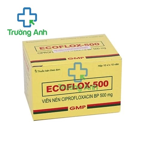 Ecoflox-500 - Thuốc điều trị nhiễm khuẩn hiệu quả của Ấn Độ