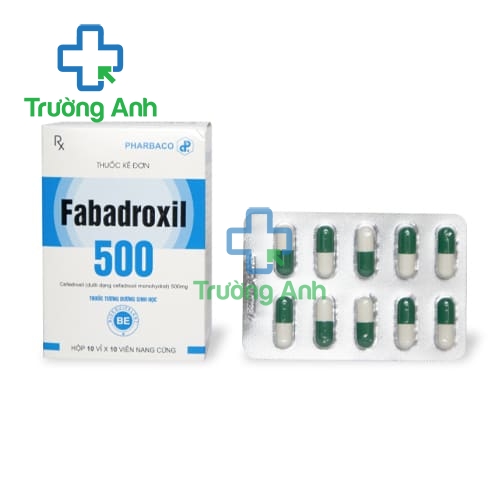 FABADROXIL 500 Pharbaco - Thuốc điều trị nhiễm khuẩn hiệu quả