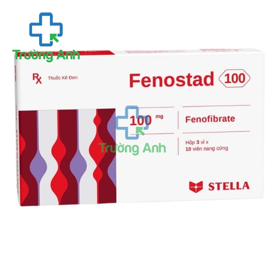 Fenostad 100 Stella - Thuốc điều trị tăng lipid máu hỗn hợp