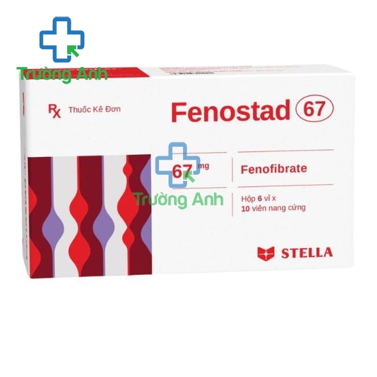 Fenostad 67 - Thuốc điều trị rối loạn Lipid huyết của Stada