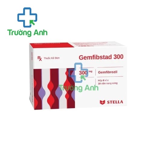 Gemfibstad 300mg - Thuốc hạ mỡ máu hiệu quả của Stada